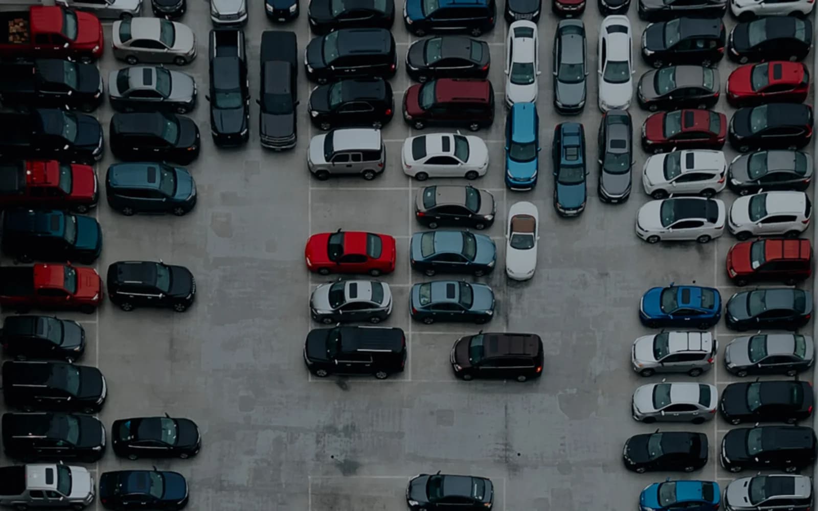 Fleet Management Platform Light
